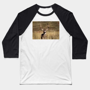Whitetail Deer Baseball T-Shirt